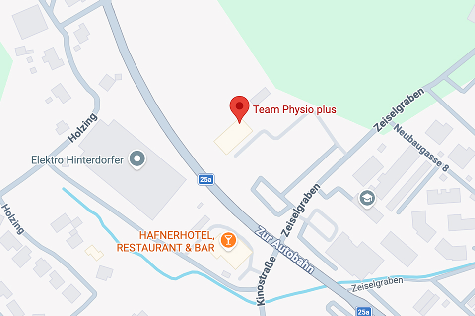 Statische Kartenvorschau des Standorts von Team Physio Plus in Bergland